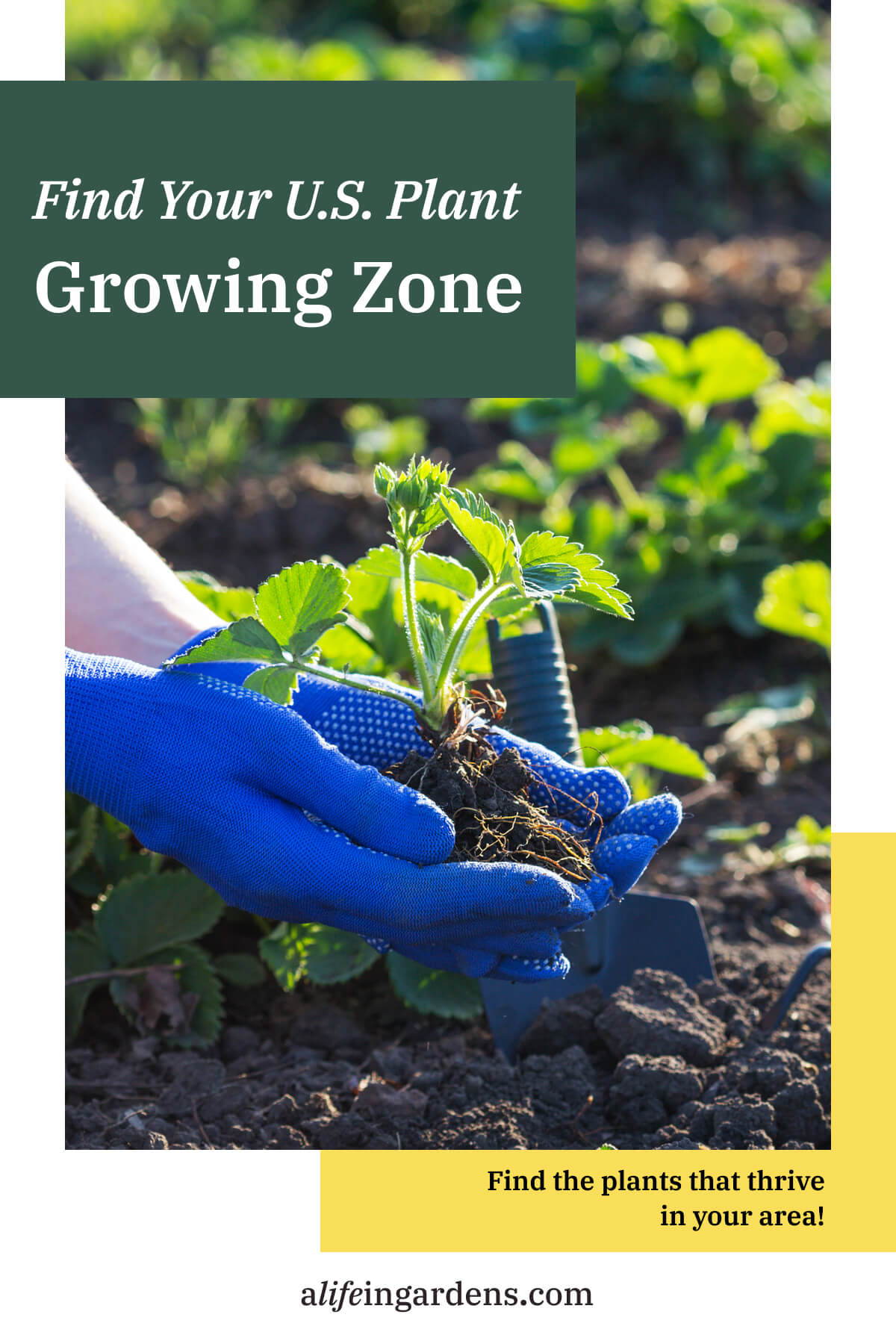 Find your Growing Zone