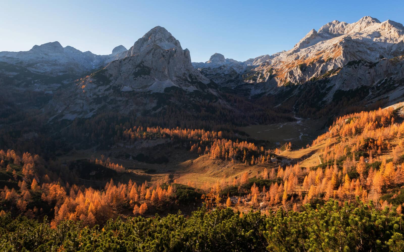 Tall mountains cast shadow on one side of a valley with golden trees. Just one example of a microclimate.